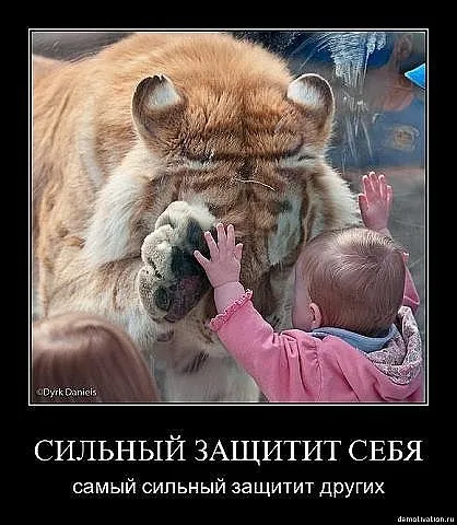Славянские Демотиваторы Часть 5