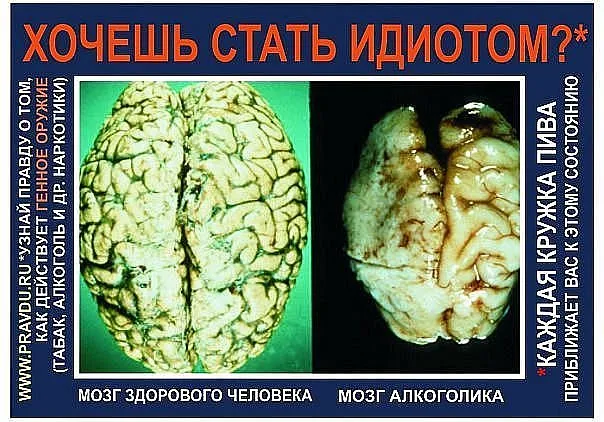 Славянские Демотиваторы Часть 5