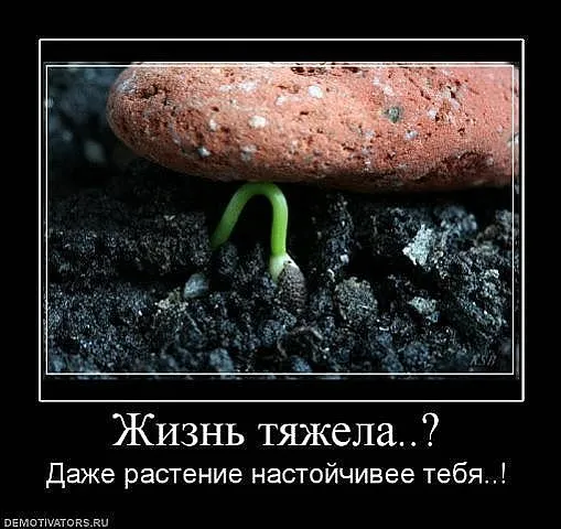 Славянские Демотиваторы Часть 5