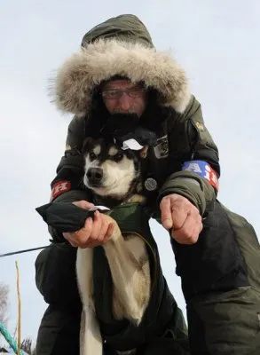 Гонка на выживание