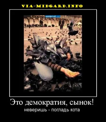 Славянские Демотиваторы Часть 7
