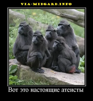Славянские Демотиваторы Часть 7