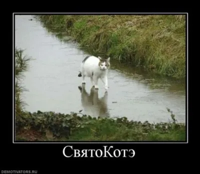 Славянские Демотиваторы Часть 7
