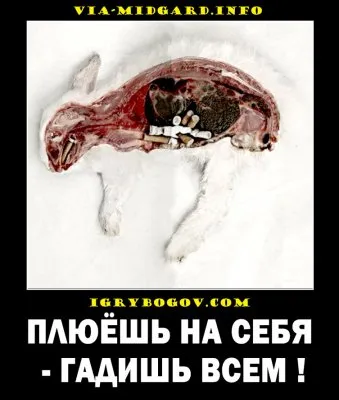 Славянские Демотиваторы Часть 8