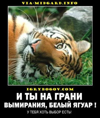 Славянские Демотиваторы Часть 8