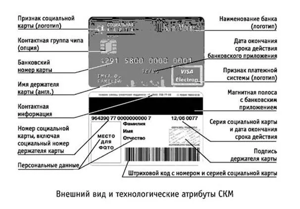 Социальная карта биообъекта