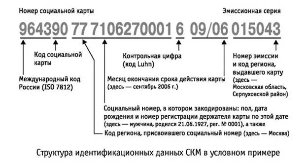 Социальная карта биообъекта Социальная карта биообъекта