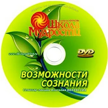 А. Некрасов. Возможности сознания