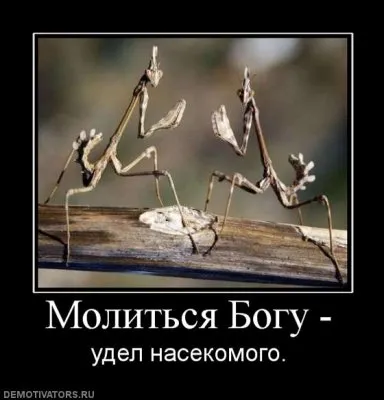 Славянские Демотиваторы Часть 9