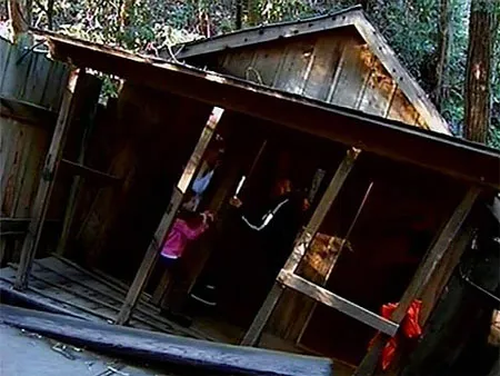 В Калифорнии в таинственном лесу не действуют некоторые законы физики