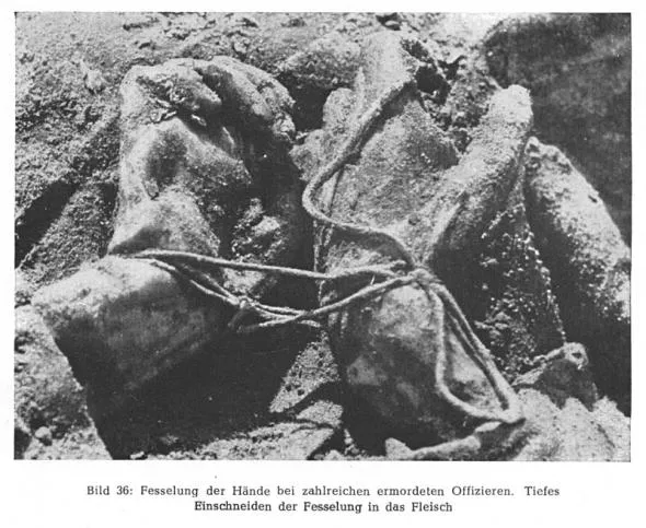 День позора бездумной Думы!