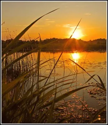 Просыпающимся славянам