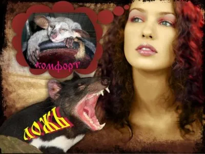 О лжи, комфорте и просветлении