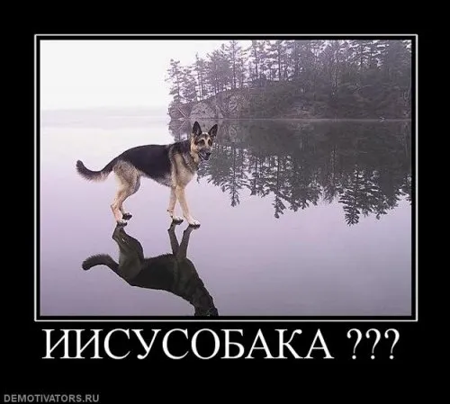 Славянские Демотиваторы Часть 11