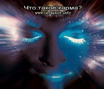 Что такое карма? [2010 г., Документальный, CamRip]