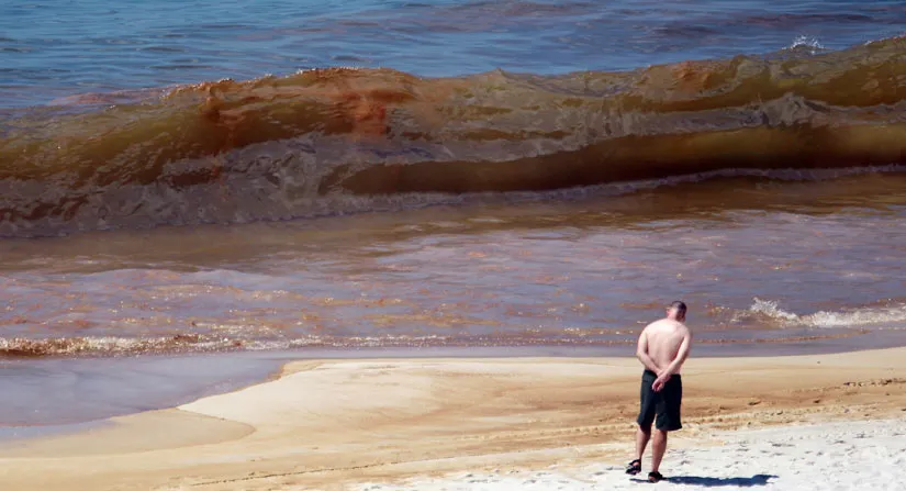 Метастазы Мексиканского залива. Часть 5