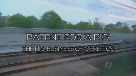 Монсанто - Патент на свиней / Monsanto - Patent For a Pig