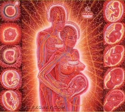 Девять месяцев беременности женщины  и развитие ребёнка в утробе матери