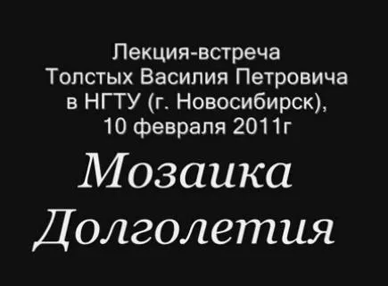 Мозаика Долголетия. Азавита. НГТУ (Новосибирск), 10 февраля 2011 года