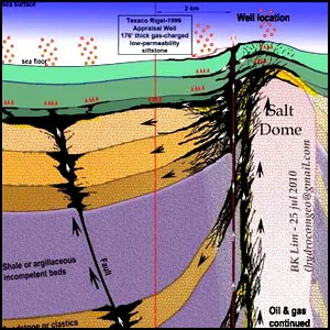Письмо эксперта конгрессменам