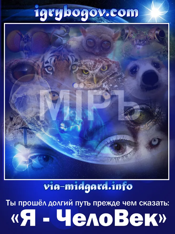 Славянские Демотиваторы Часть 13