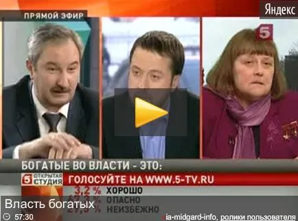 Власть богатых: зло или благо?