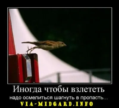 Славянские Демотиваторы Часть 12