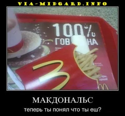 Славянские Демотиваторы Часть 12
