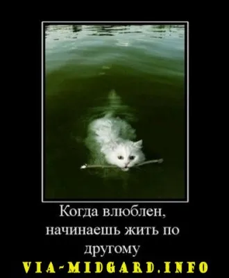 Славянские Демотиваторы Часть 12