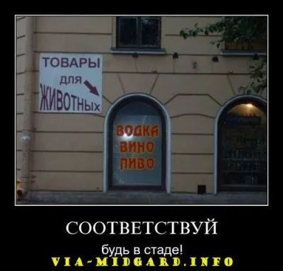 Славянские Демотиваторы Часть 12