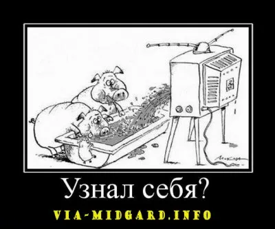 Славянские Демотиваторы Часть 12