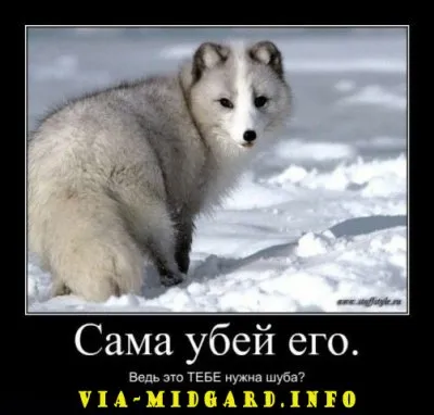 Славянские Демотиваторы Часть 12