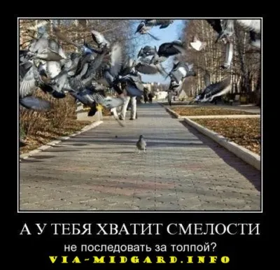 Славянские Демотиваторы Часть 12