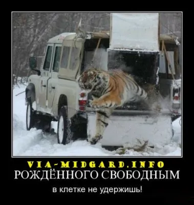Славянские Демотиваторы Часть 12