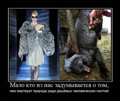 Славянские Демотиваторы Часть 13