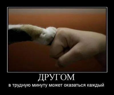 Славянские Демотиваторы Часть 13
