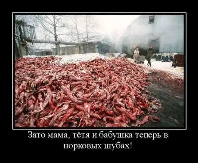 Славянские Демотиваторы Часть 13
