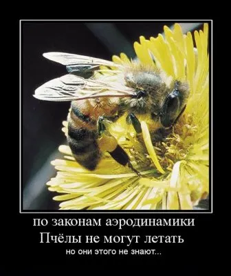 Славянские Демотиваторы Часть 13