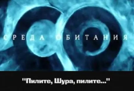 Среда обитания. "Пилите, Шура, пилите..." (2011) SATRip