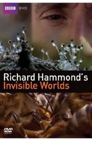 BBC: Невидимые миры. Свободный масштаб / Invisible Worlds. Off the Scale (2010) HDTVRip [часть 3 ]