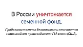 В Санкт-Петербурге пройдёт пикет против ГМО.