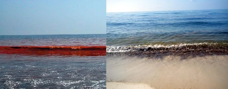 Метастазы Мексиканского залива. Часть 7