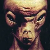 Контакт с НЕЛЮДЬЮ: Чего они боятся