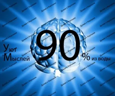 О воде, только хорошо или никак.