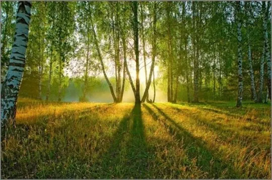 Звёздная Память Звёздная Память
