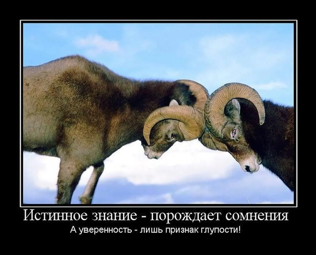 Славянские Демотиваторы Часть 14