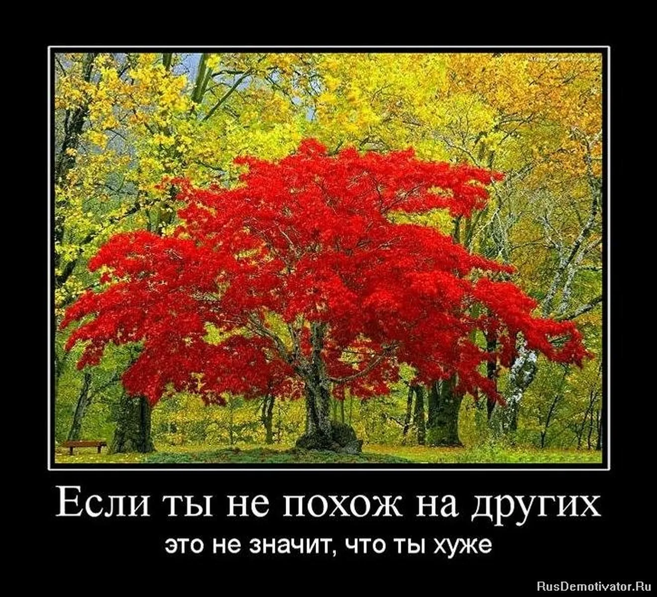 Славянские Демотиваторы Часть 15