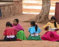 Битва за Мать Землю. Сражение за Вирикуту. Международная Петиция.