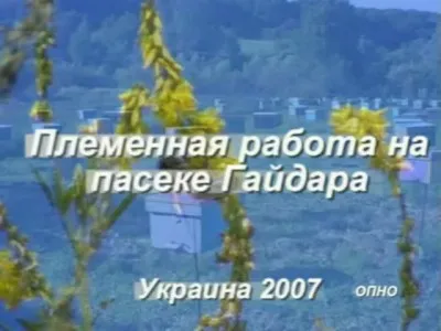 Пчеловодство. Племенная работа на пасеке Гайдара В.А. (2007/CAMRip)