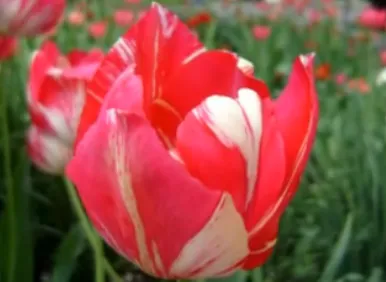 Творец здесь! Это Ты!